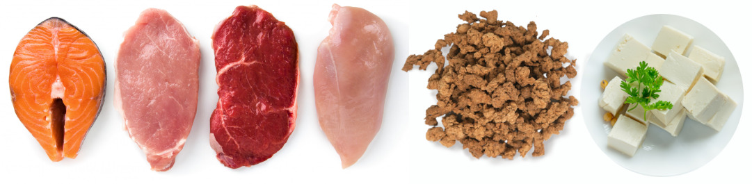 Nutricionista post bariatrica